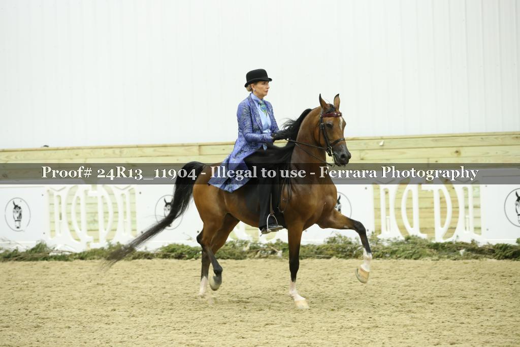 Proof Number 24R13_11904