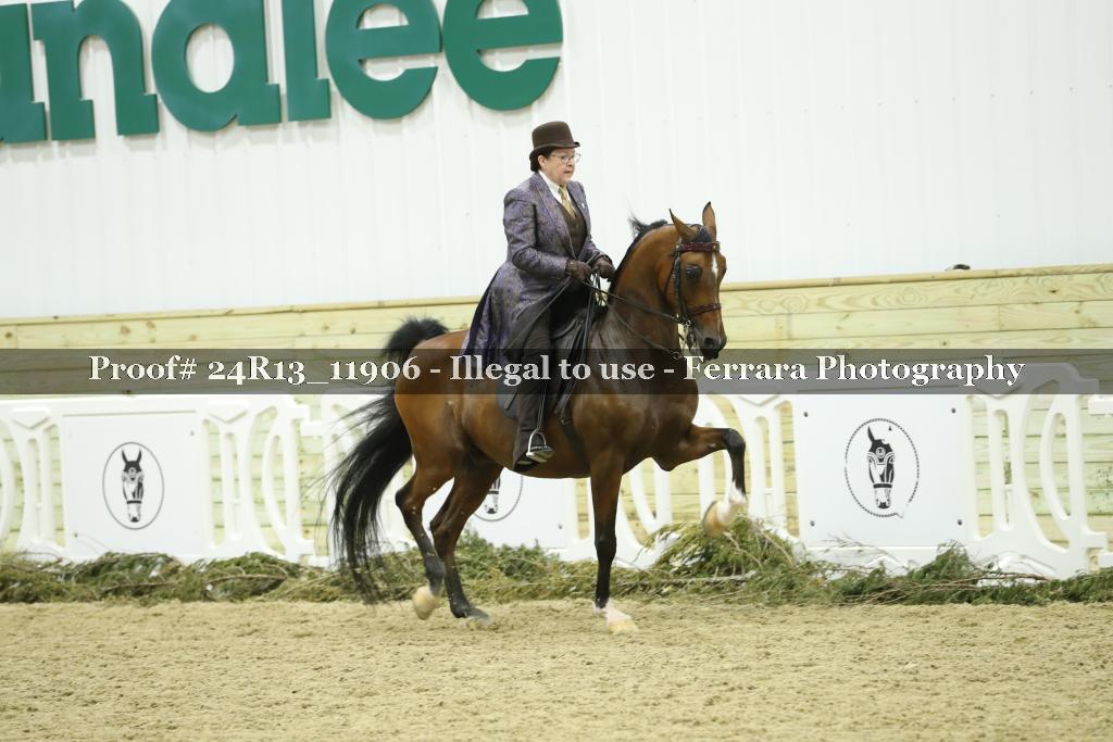 Proof Number 24R13_11906