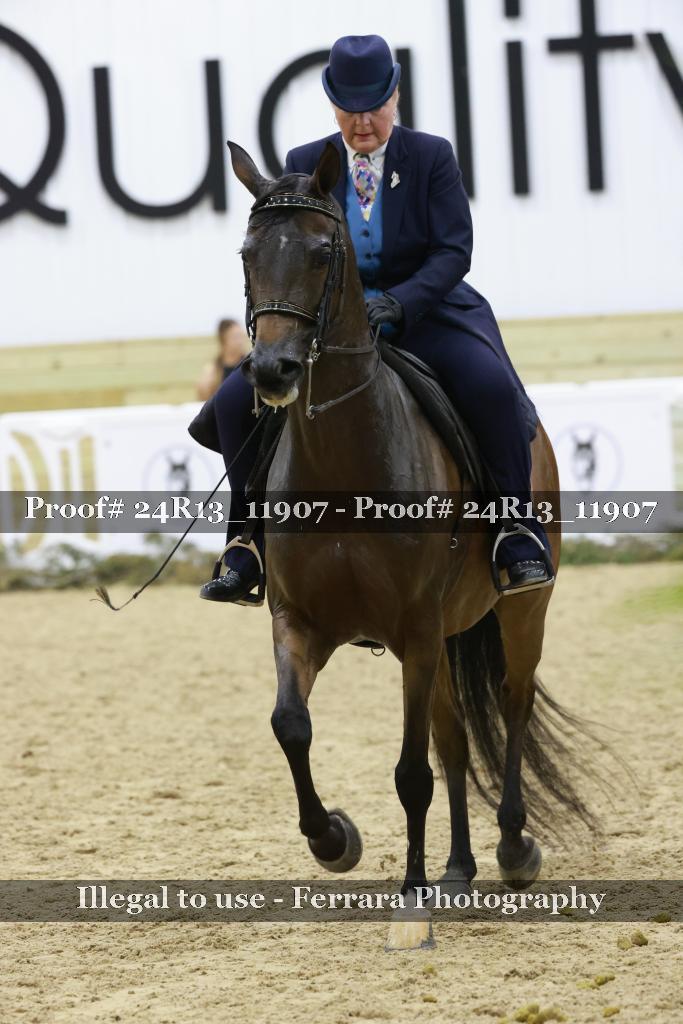 Proof Number 24R13_11907