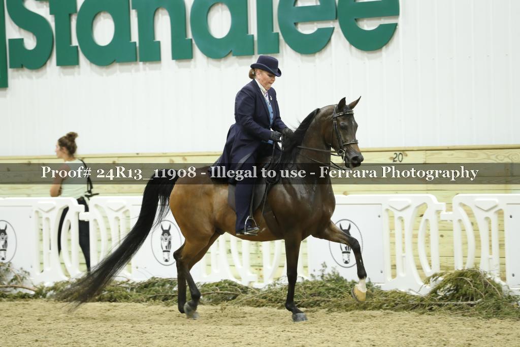 Proof Number 24R13_11908