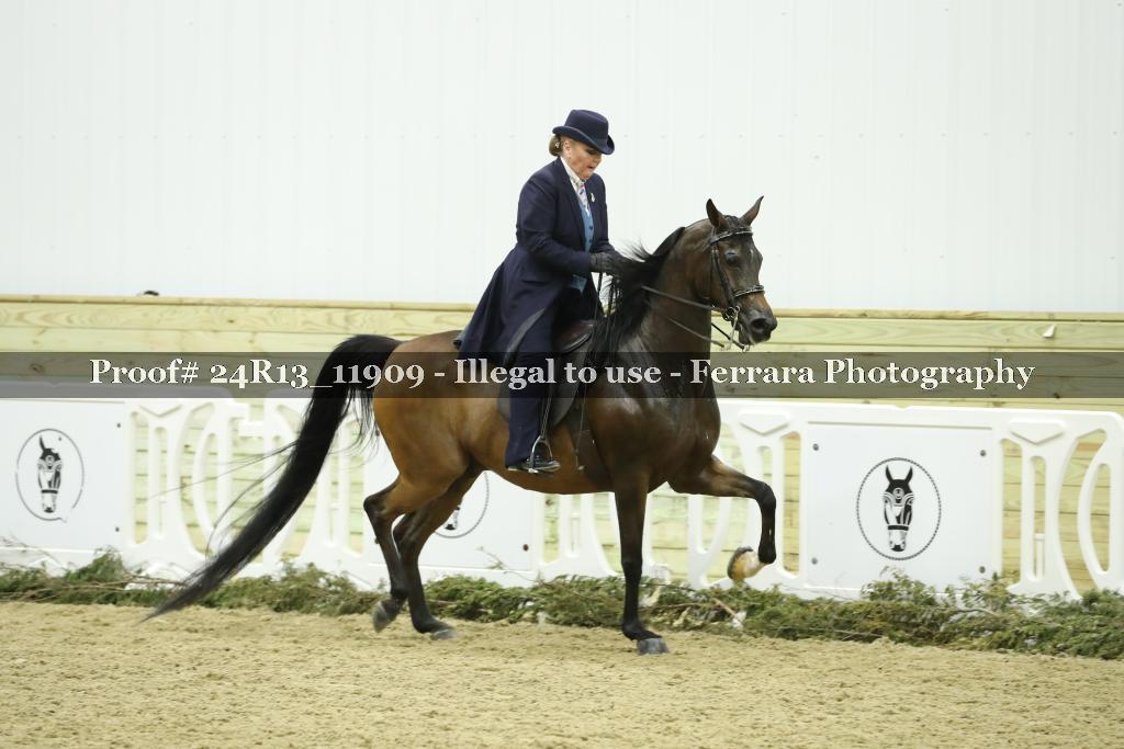 Proof Number 24R13_11909