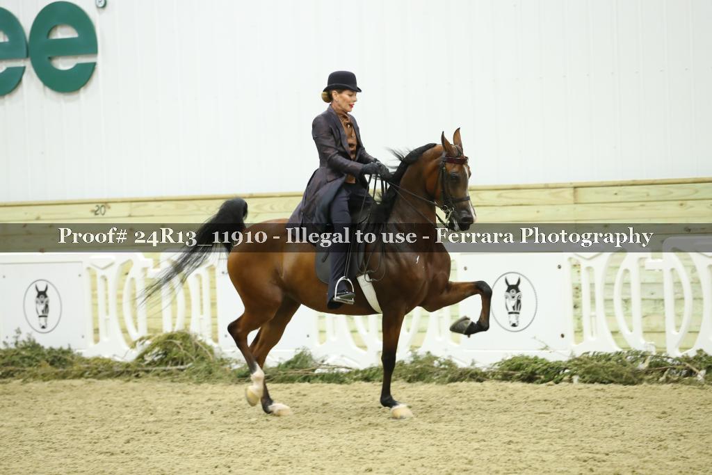 Proof Number 24R13_11910