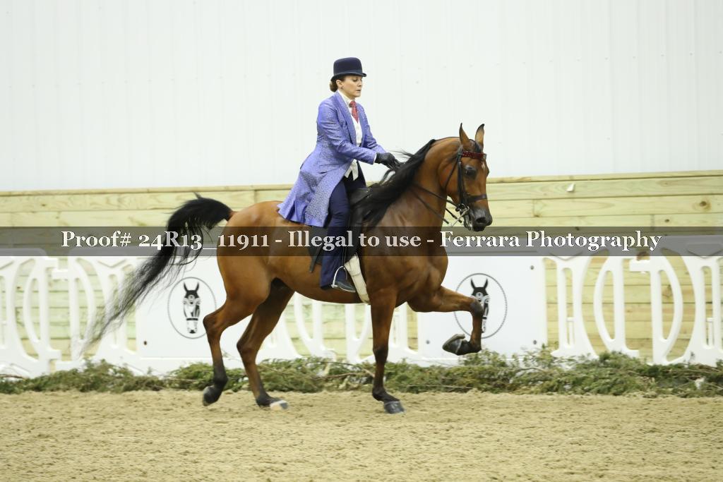 Proof Number 24R13_11911