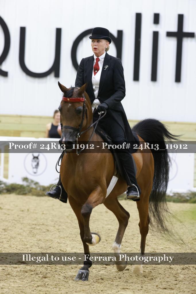 Proof Number 24R13_11912