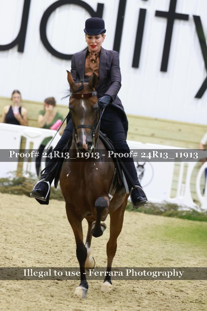 Proof Number 24R13_11913