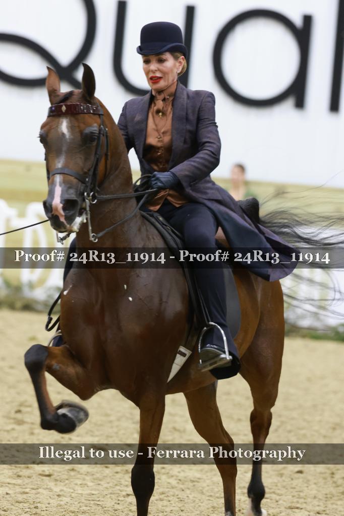 Proof Number 24R13_11914