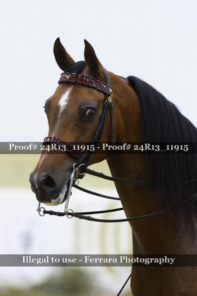 Proof Number 24R13_11915