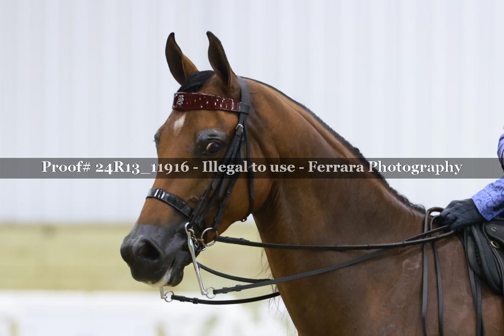 Proof Number 24R13_11916