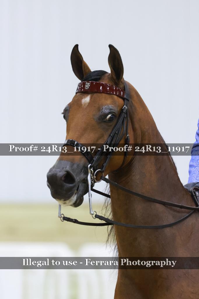 Proof Number 24R13_11917