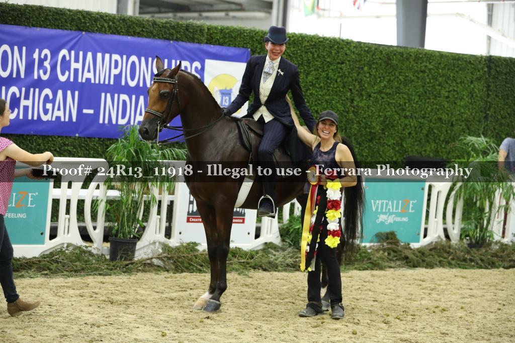 Proof Number 24R13_11918