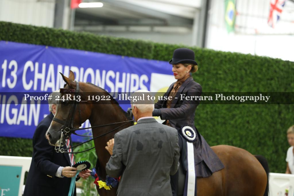 Proof Number 24R13_11922