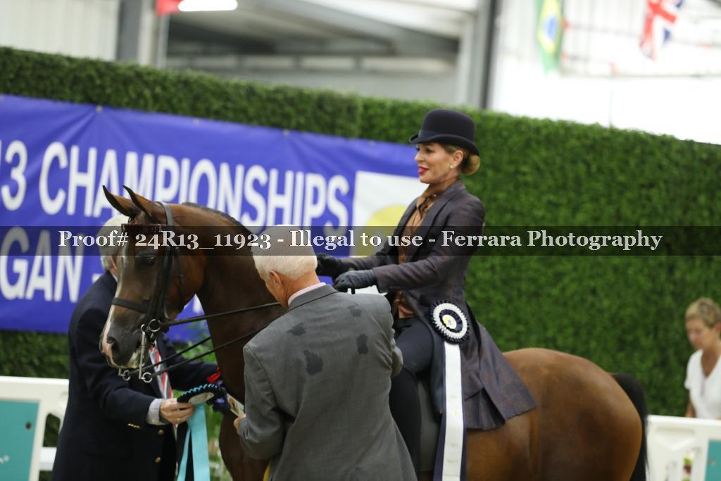 Proof Number 24R13_11923