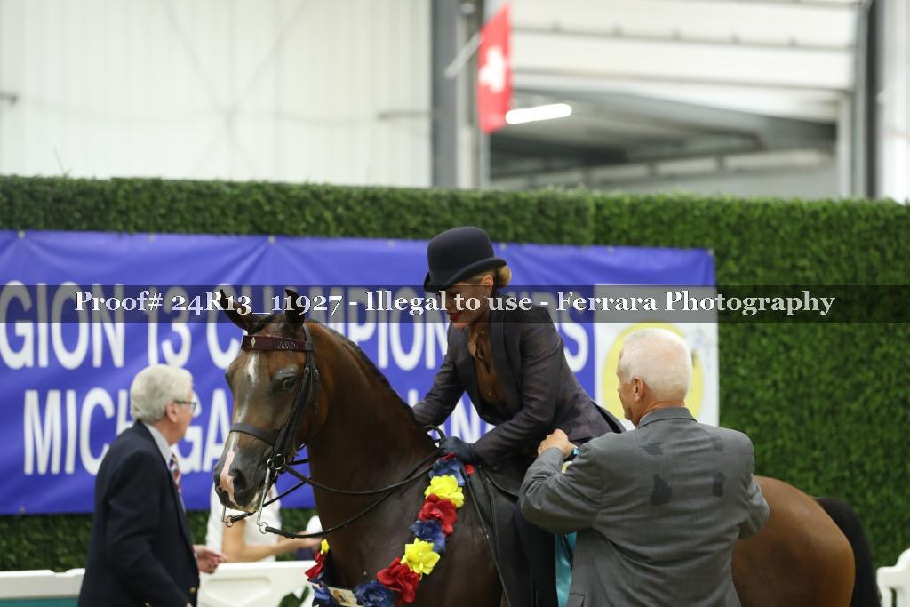 Proof Number 24R13_11927