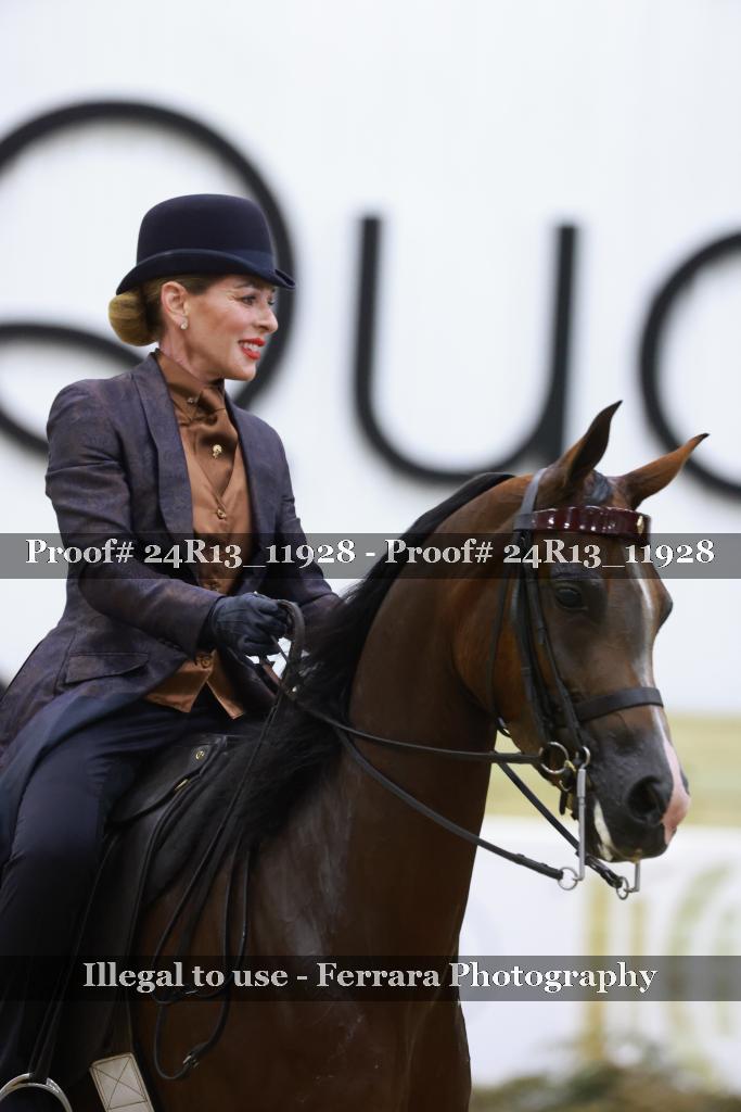 Proof Number 24R13_11928