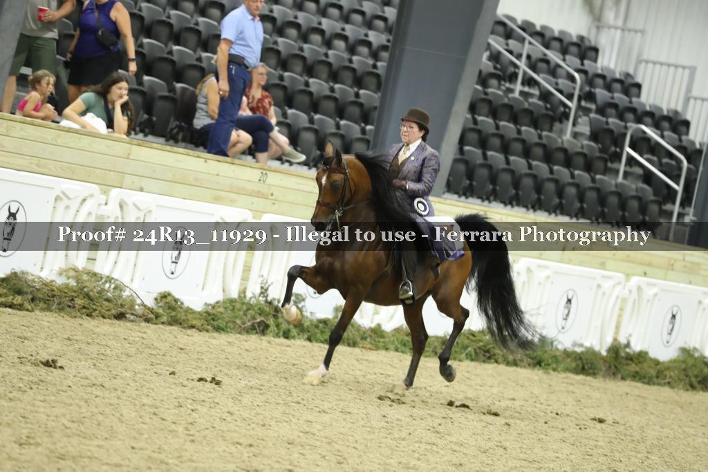 Proof Number 24R13_11929