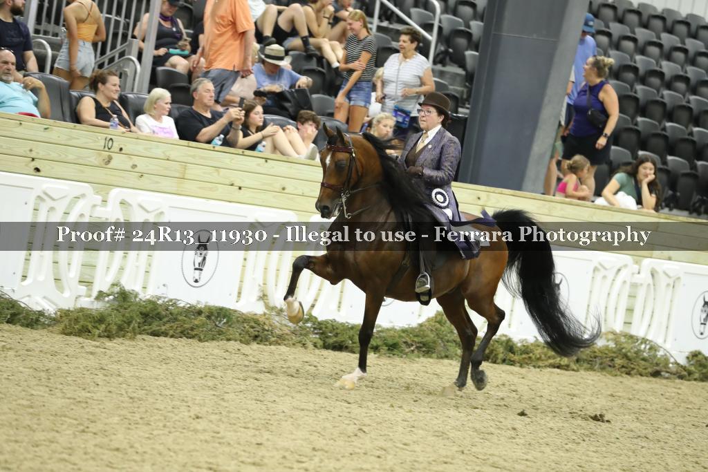 Proof Number 24R13_11930