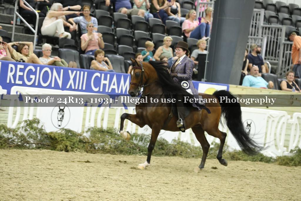 Proof Number 24R13_11931