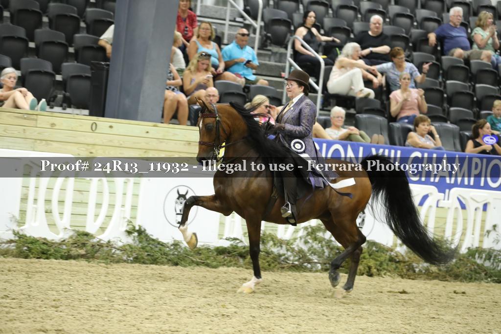 Proof Number 24R13_11932