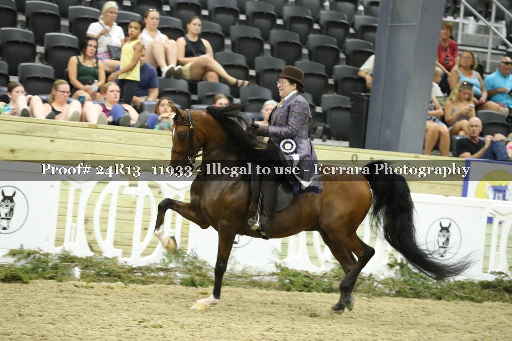 Proof Number 24R13_11933