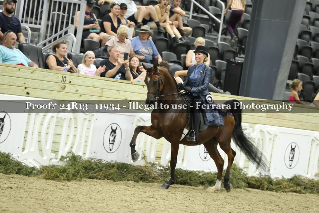 Proof Number 24R13_11934