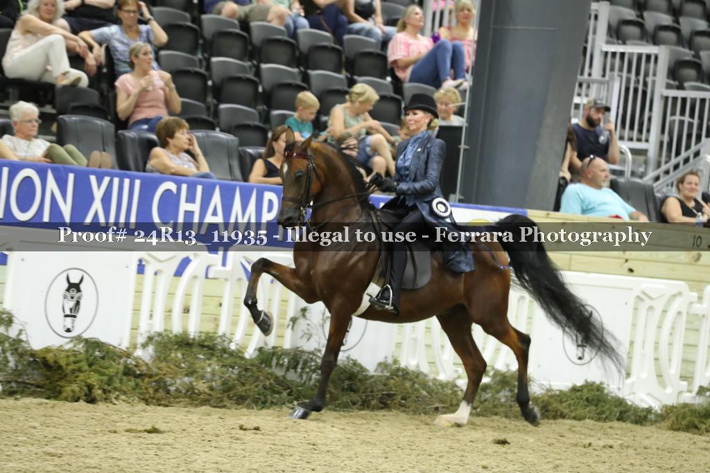 Proof Number 24R13_11935