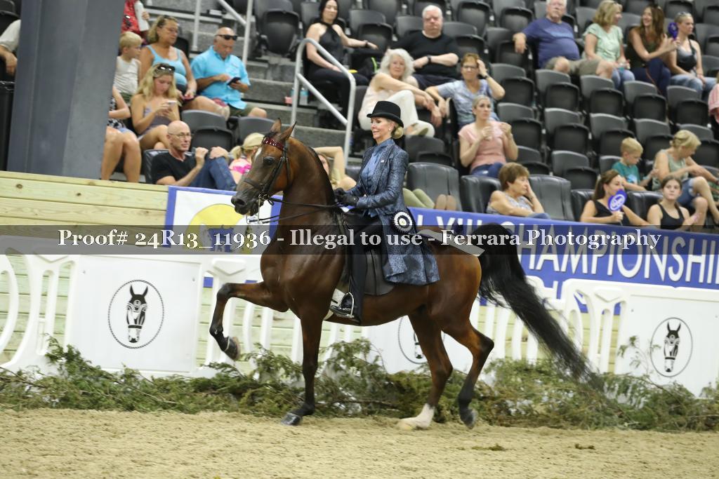 Proof Number 24R13_11936