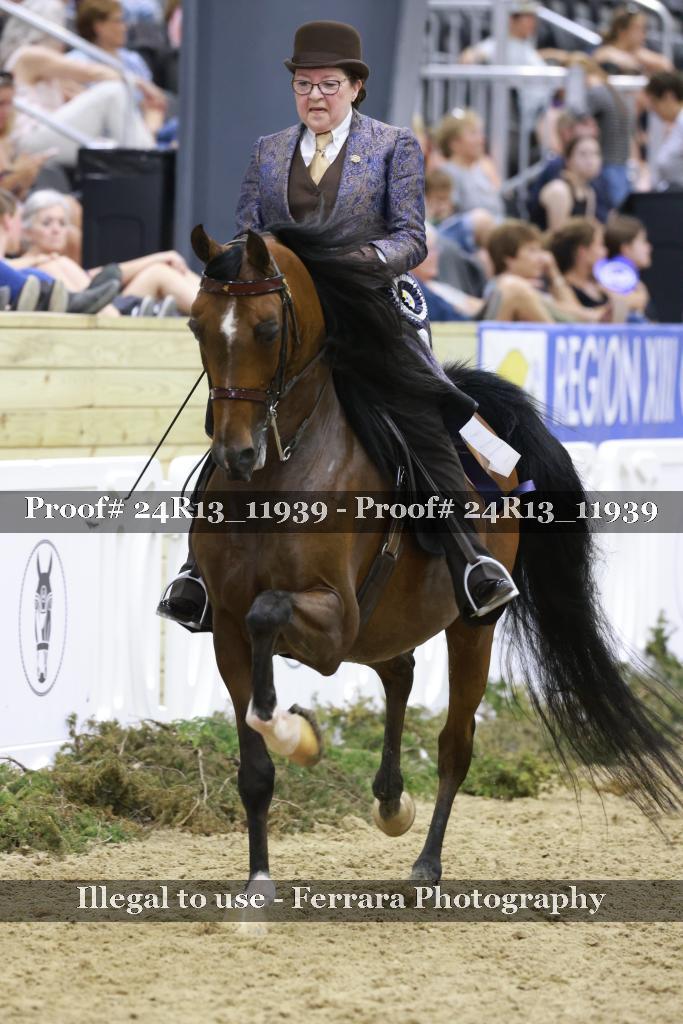 Proof Number 24R13_11939