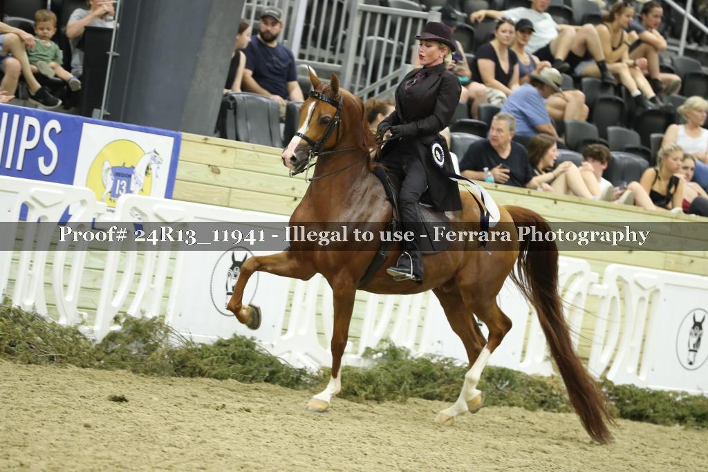 Proof Number 24R13_11941