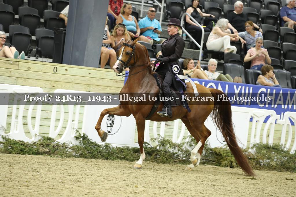 Proof Number 24R13_11943