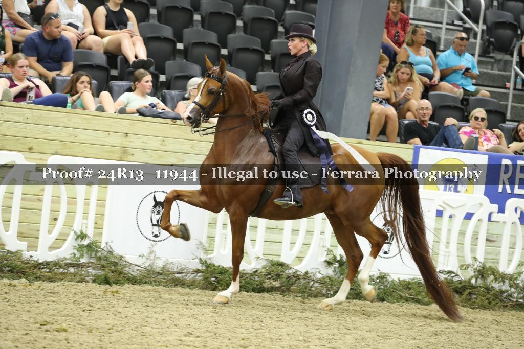 Proof Number 24R13_11944