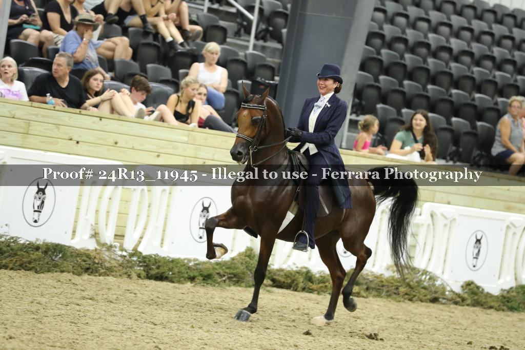 Proof Number 24R13_11945