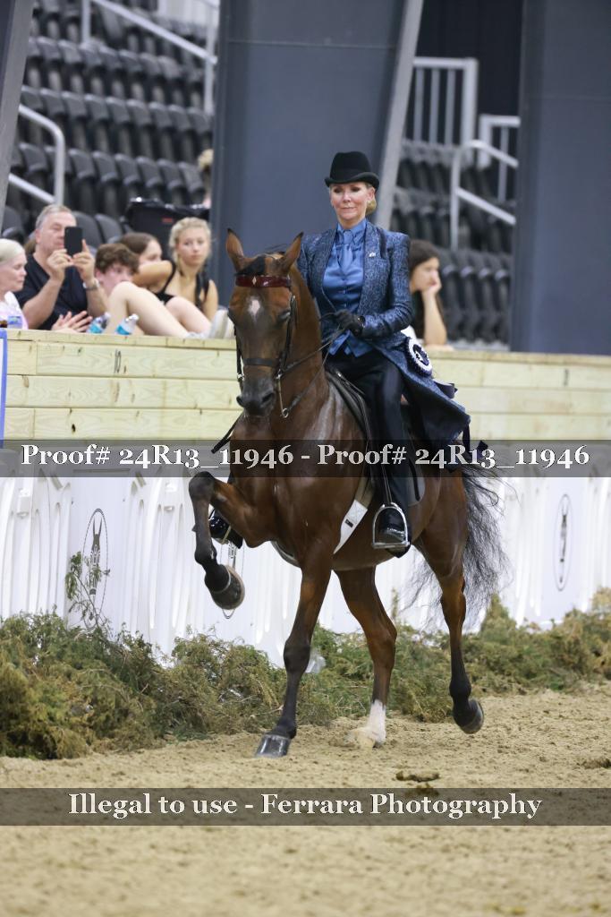 Proof Number 24R13_11946