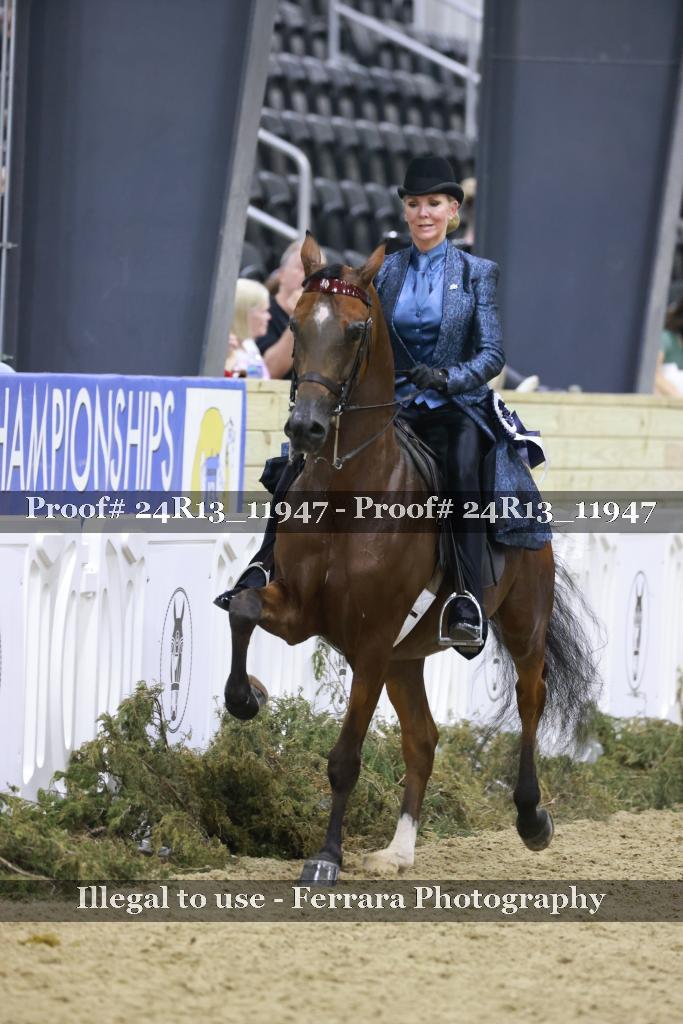 Proof Number 24R13_11947