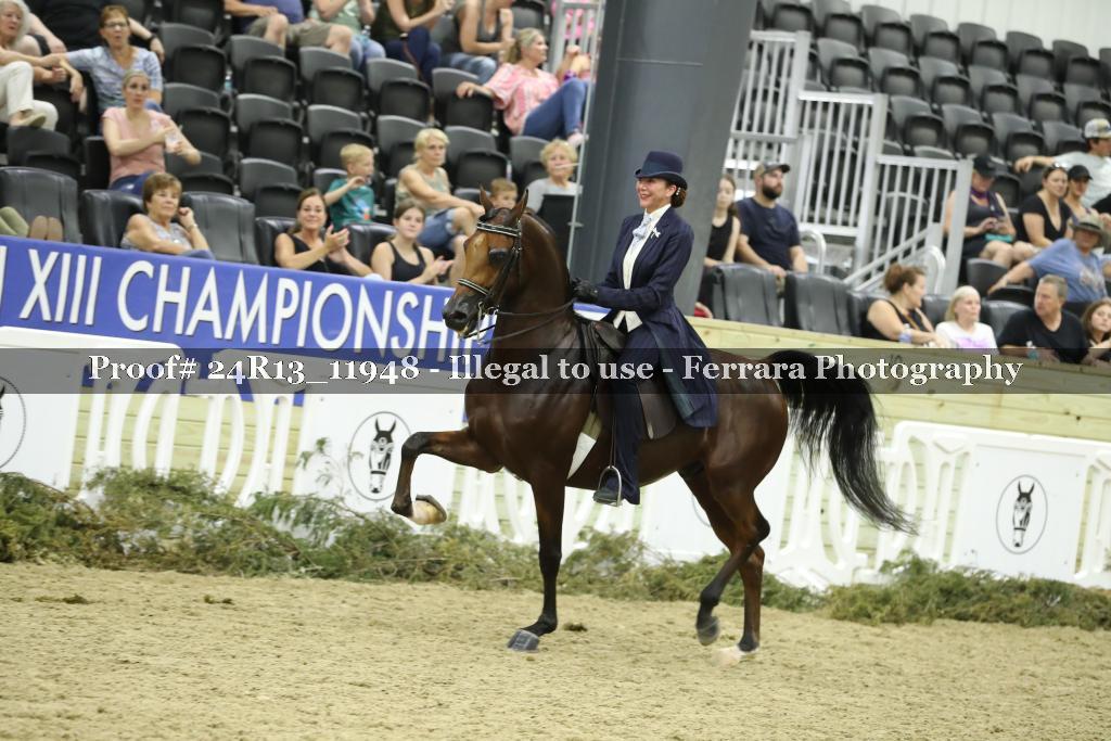 Proof Number 24R13_11948