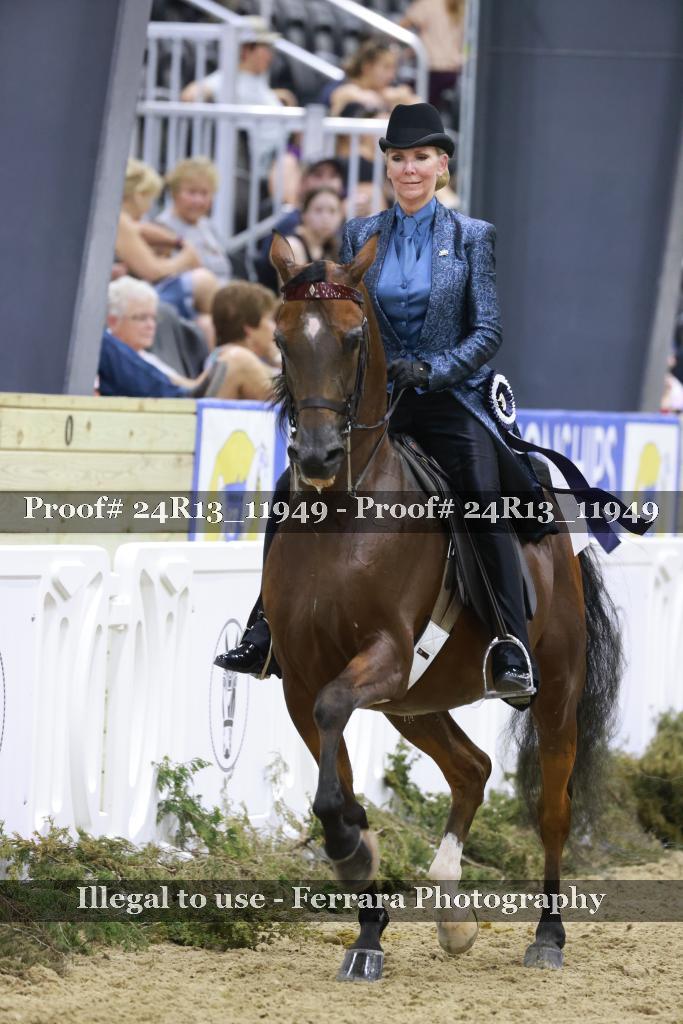 Proof Number 24R13_11949