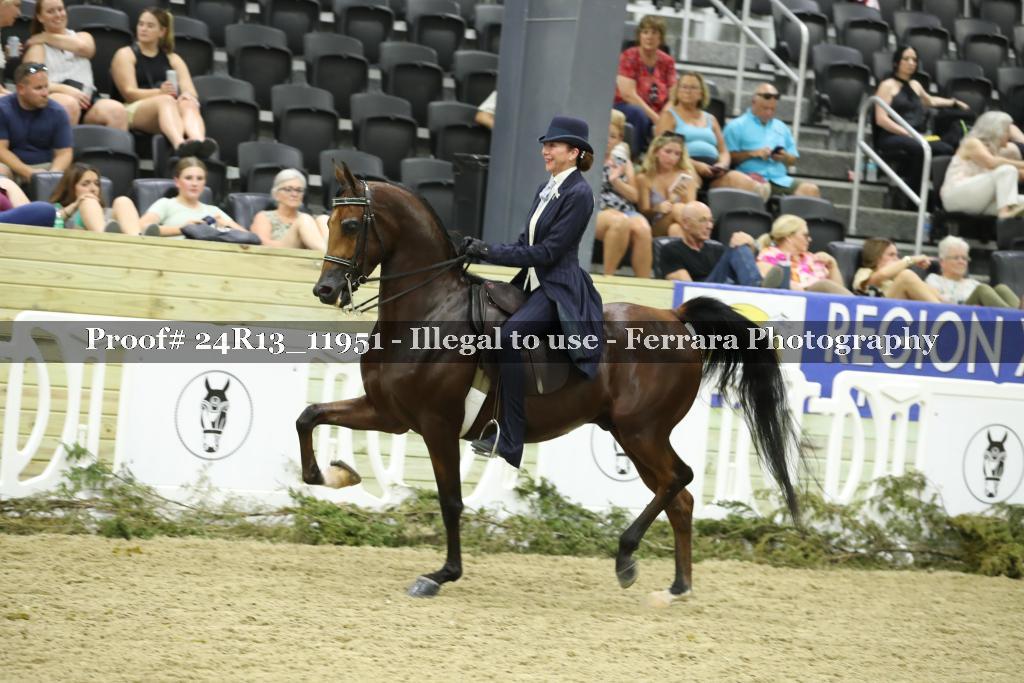 Proof Number 24R13_11951