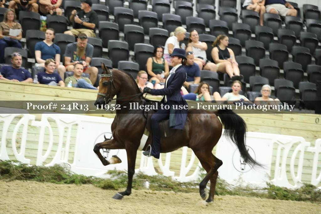 Proof Number 24R13_11952