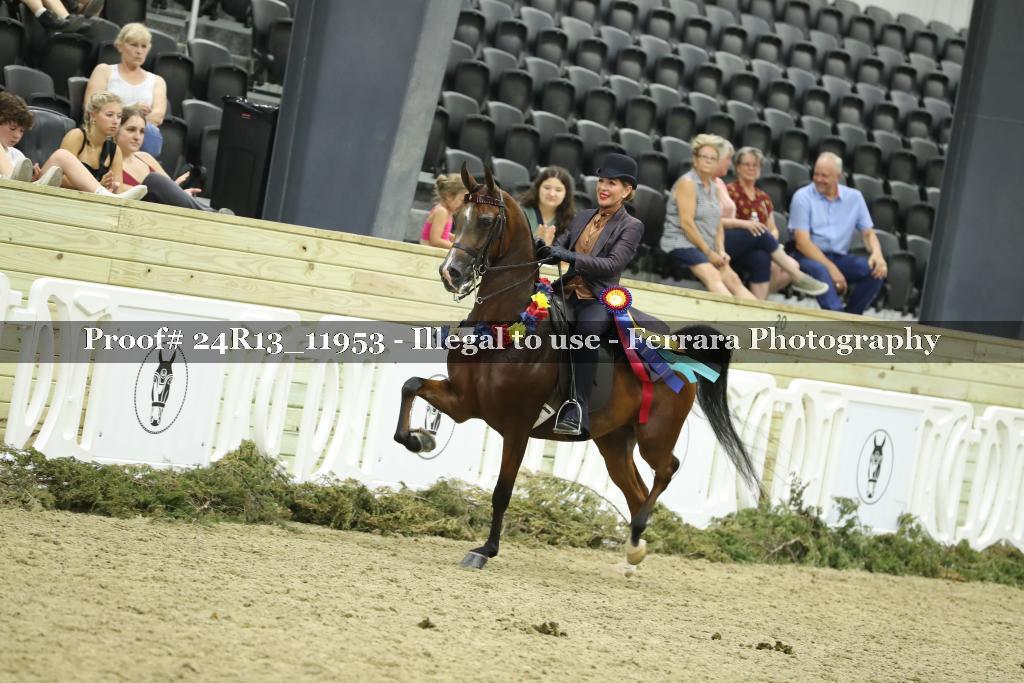 Proof Number 24R13_11953