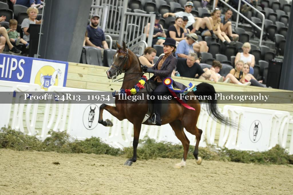 Proof Number 24R13_11954