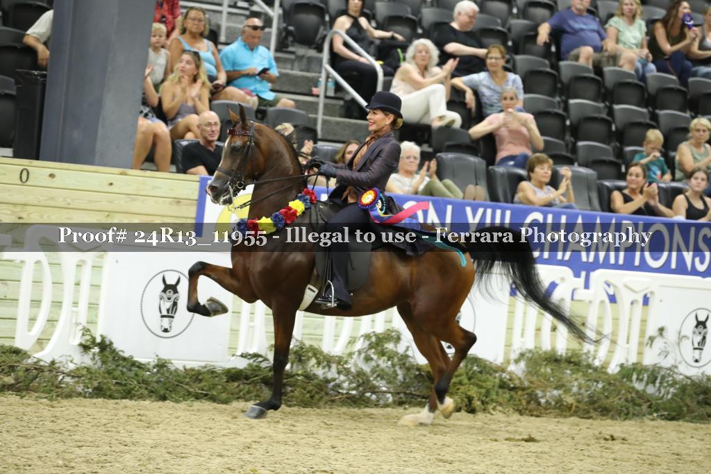 Proof Number 24R13_11955