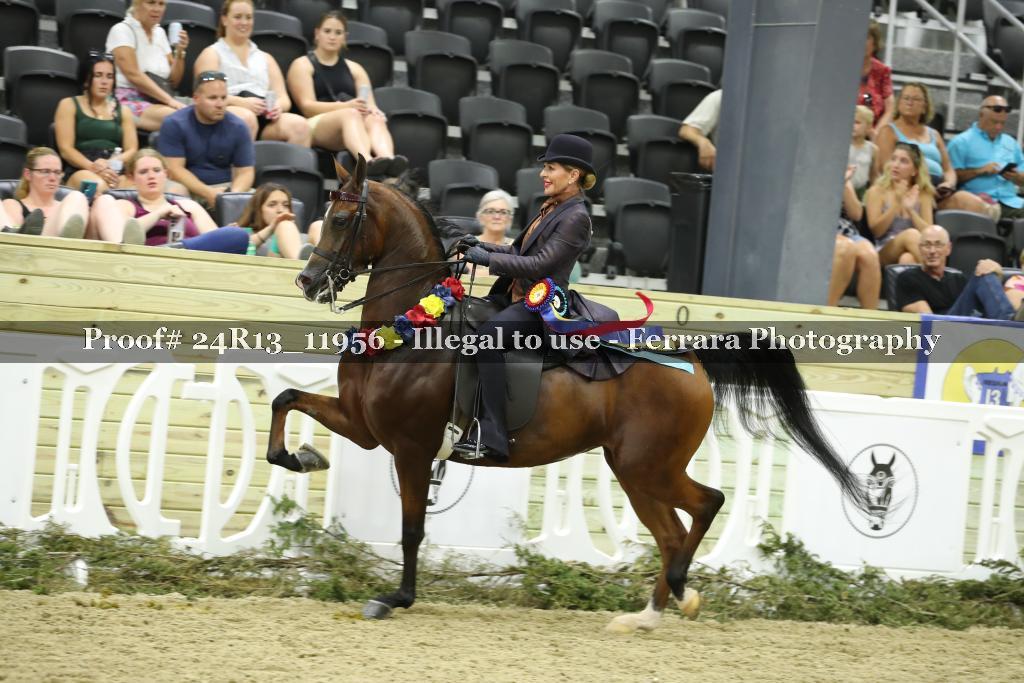 Proof Number 24R13_11956