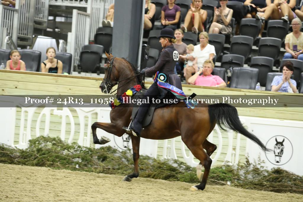 Proof Number 24R13_11958