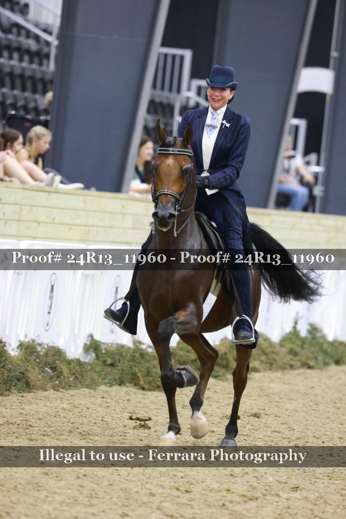 Proof Number 24R13_11960