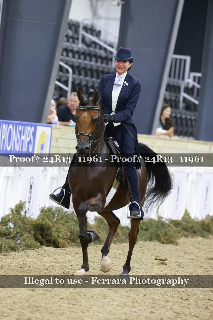 Proof Number 24R13_11961