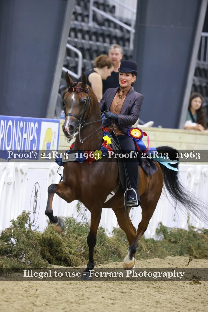 Proof Number 24R13_11963