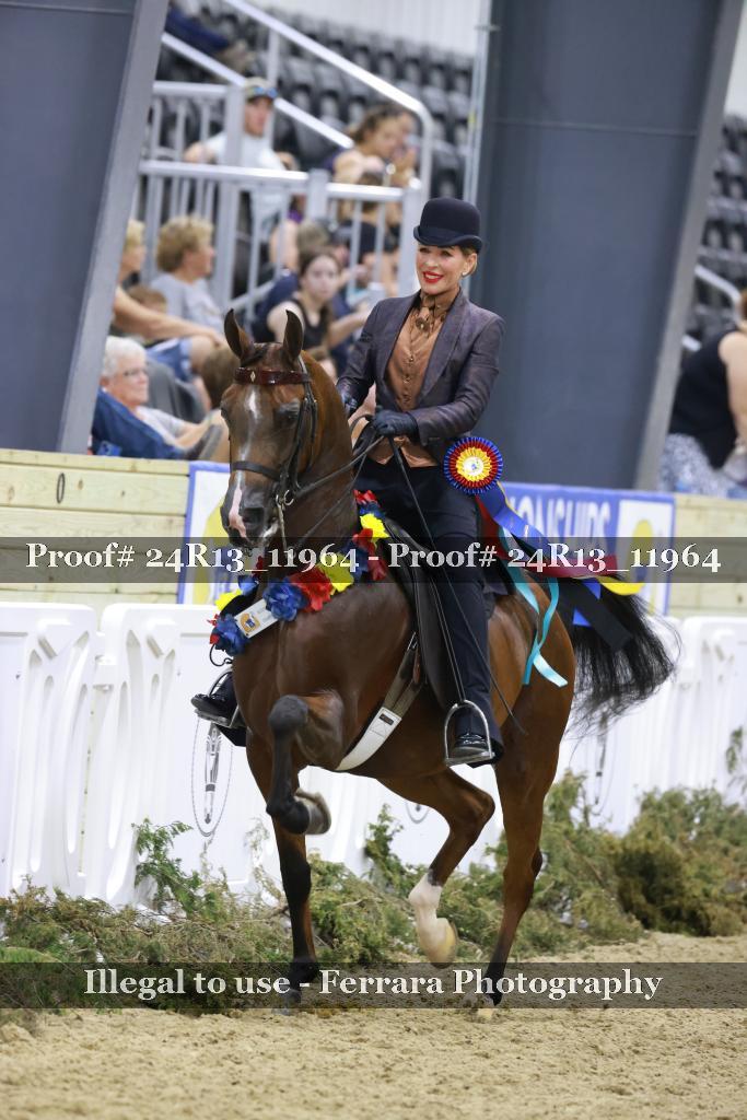 Proof Number 24R13_11964