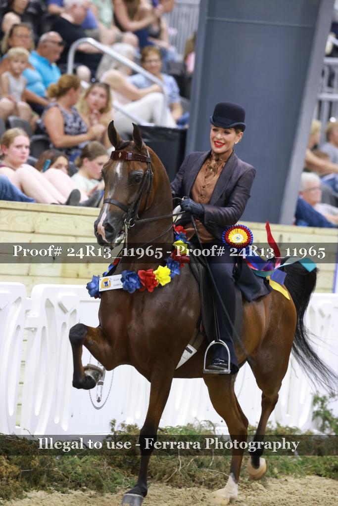 Proof Number 24R13_11965