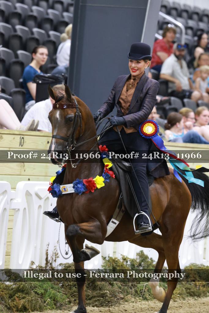 Proof Number 24R13_11966