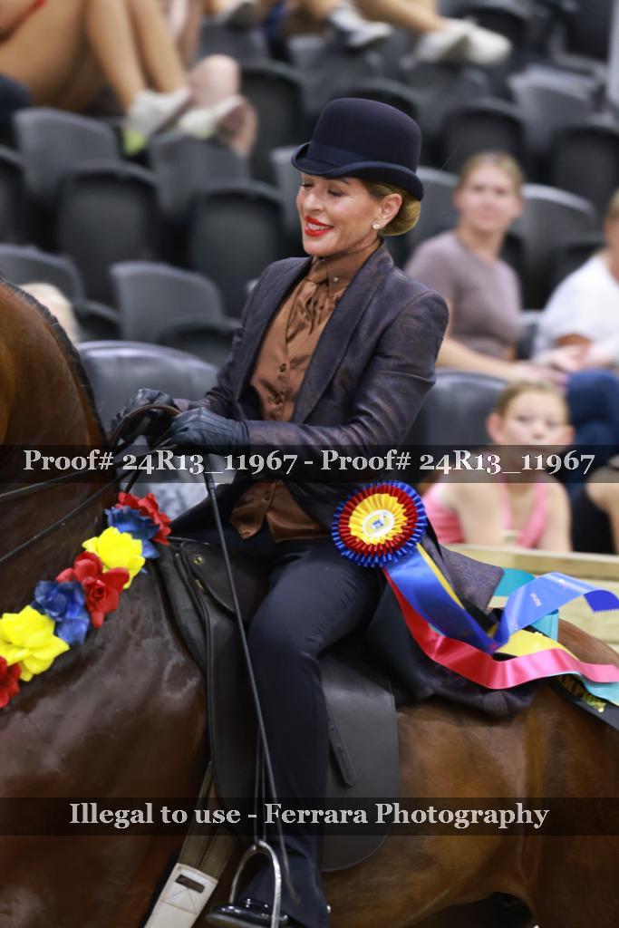 Proof Number 24R13_11967