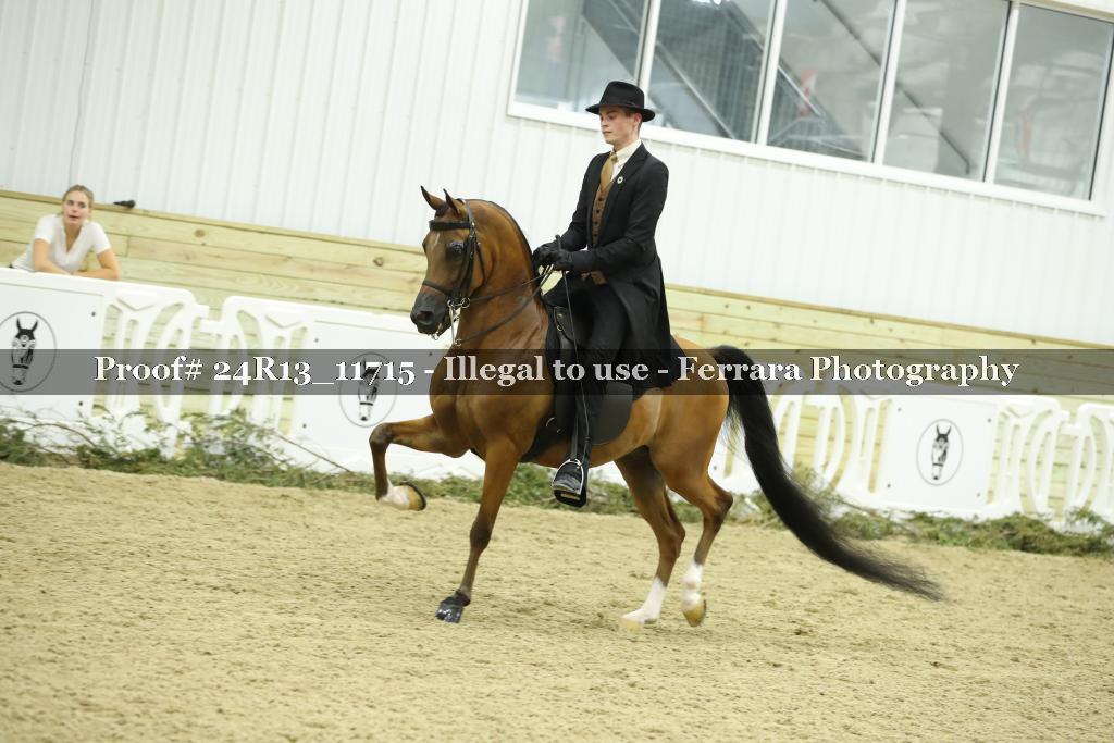 Proof Number 24R13_11715